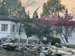 -八大山人梅湖景区