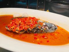 -凤凰湘语(浦东旗舰店)