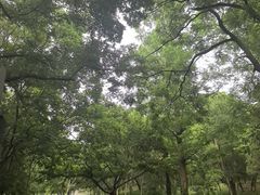-采石矶景区