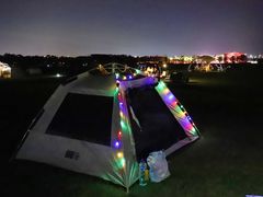 -春花秋色城市公园