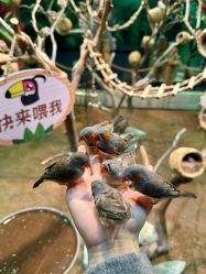 -Zoolung Zoolung动物主题公园(海信广场店)