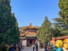 -龙口南山旅游景区