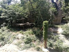 景点-北京动物园