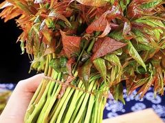 -宫燕府·京菜·烤鸭·淮扬菜(王府中心店)