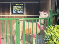 -舟山朱家尖威斯汀酒店·知味标帜自助餐厅