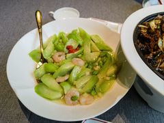 -秀儿四九城·新京菜(亚运村鸟巢店)