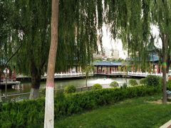 -雁滩公园