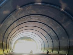 -成吉思汗公园