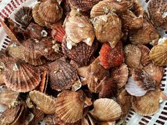 -海之味海鲜大咖·家常菜