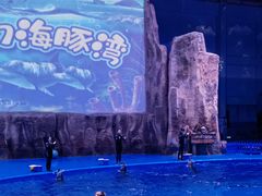 -华夏文旅海洋公园