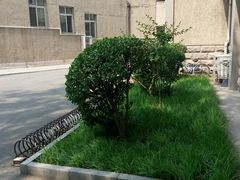 android_upload_pic-中国政法大学(昌平校区)