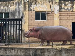 -合肥野生动物园