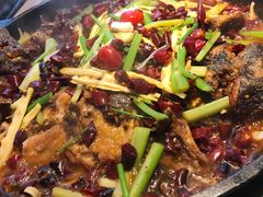 -老板恋上鱼(恒隆广场店)