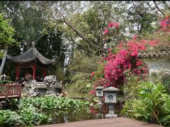 -深圳国际园林花卉博览园