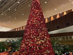 -北京望京凯悦酒店The Lounge大堂酒廊