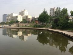-雁滩公园