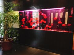 -大唐盲人按摩中心(黄山路店)