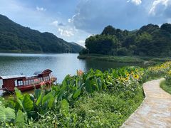 -广州市石门国家森林公园