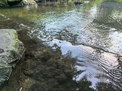 -重庆彩云湖湿地公园