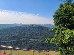 -铁山坪森林公园