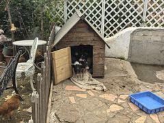 -HERRE·FARM 赫尔露营农场·团建聚会包场