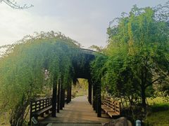-白塘生态植物园
