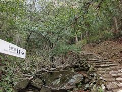 -雁荡山三折瀑景区