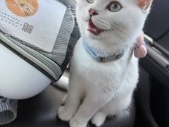 -嘉馨宠物医院·CT影像转诊·心脏科·犬猫全科诊疗中心(下沙大学城院区)