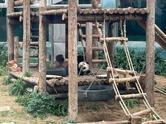 -大连森林动物园