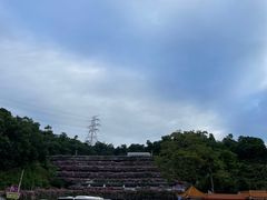 -深圳仙湖植物园
