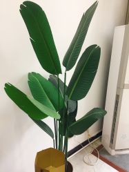 -久匠半永久纹眉