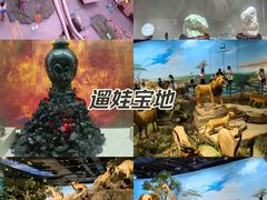 -陕西自然博物馆