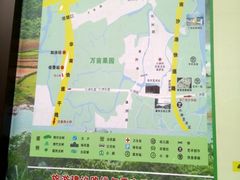 -小洲村