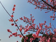 -天鹅湖体育公园