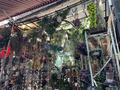 -循礼门鲜花花市(武汉循礼门店)