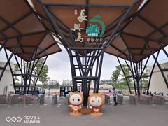 -上海长兴岛郊野公园