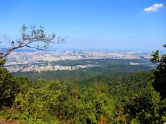 -紫金山山顶公园
