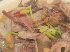 -天天海鲜城·海鲜大排档(新溪店)