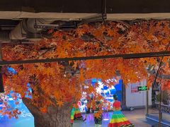 -老凯俚酸汤鱼(多彩城店)