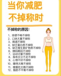 -Fundi张玉珊修身堂·indiba·BTL科技瘦身