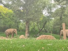 -北京野生动物园