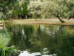 -晓港公园