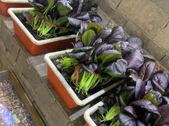 -印巷里主题餐厅(马鞍山店)