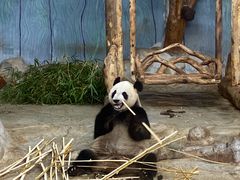 -海南热带野生动植物园