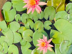 -星巴克(深圳前海企业公馆店)