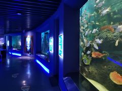 -石家庄海洋公园