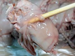 -小辫子羊肉面馆(周东店)