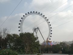 -海合安武汉极地海洋公园
