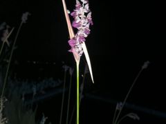 -千岛湖-欢乐水世界