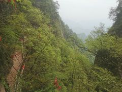 -塔云山